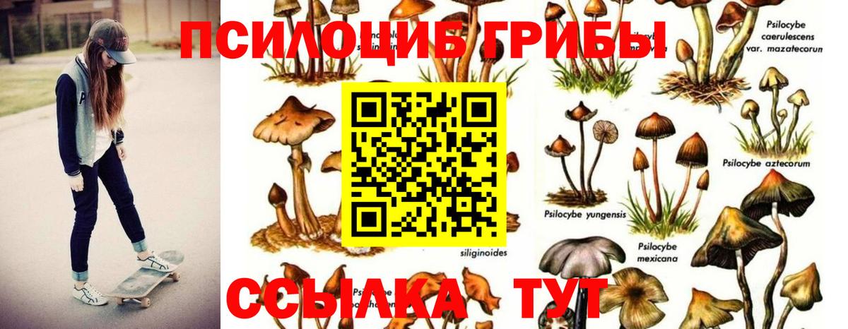 Псилоцибиновые грибы мухоморы Гуково